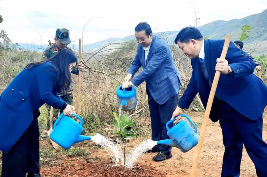 Lãnh đạo huyện Yên Châu trồng cây xà cừ tại bản Nà Khái, xã Sặp Vạt.
