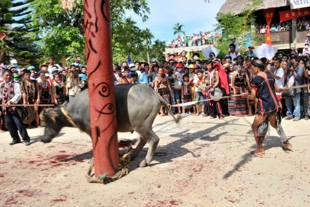 Lê hội đâm trâu tại Thừa Thiên Huế