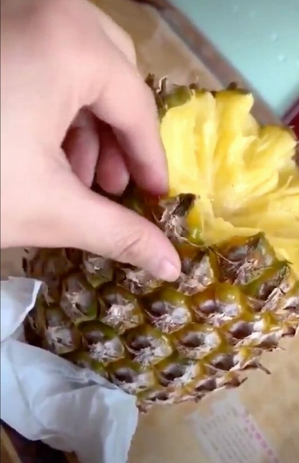 Cách ăn dứa đơn giản khi không cần tới dao.