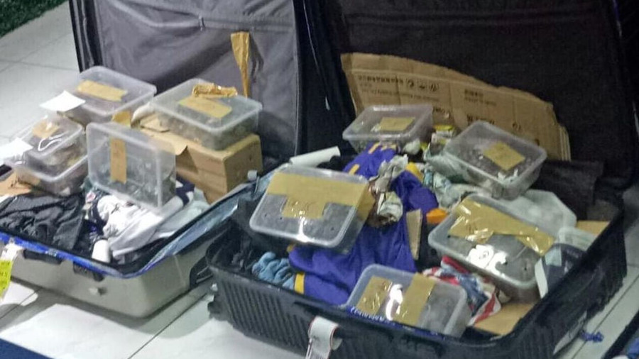 Những vali bị bỏ lại tại sân bay tới Hong Kong. Những vali bị bỏ lại tại sân bay tới Hong Kong.