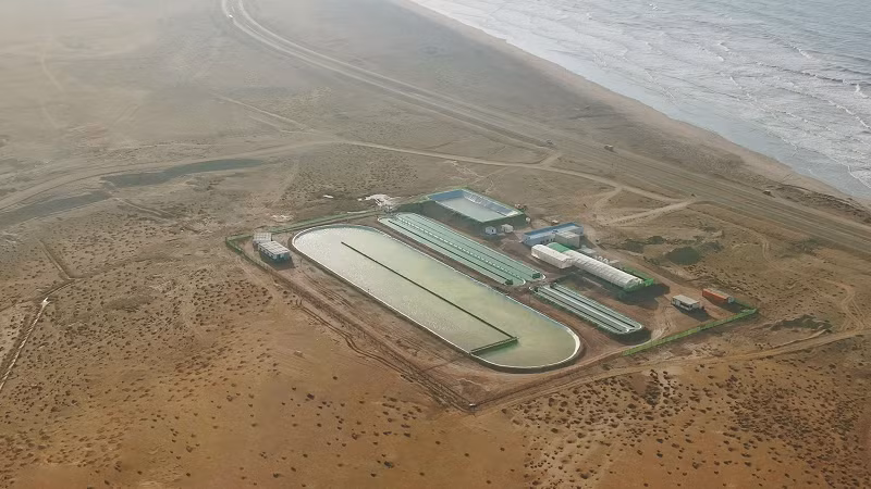 Khu vực trồng tảo của Brilliant Planet ở Akhfenir, Maroc. Ảnh: CNN