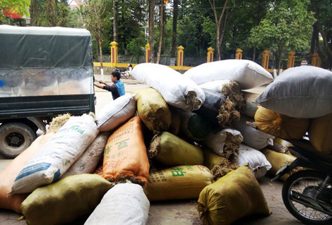 Bí ẩn thương lái Trung Quốc mua gom rêu đá với giá cao - Ảnh 1 Bí ẩn thương lái Trung Quốc mua gom rêu đá với giá cao - Ảnh 1