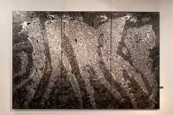 Hai màu đen - trắng chủ đạo trong triển lãm “Niệm” của Nguyễn Ngọc Phương.