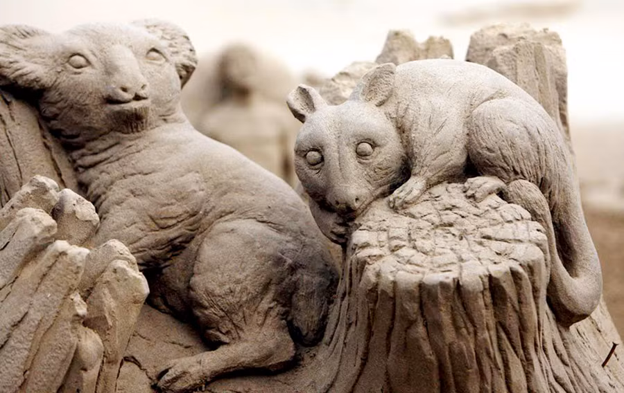 Tượng cát hai con vật.