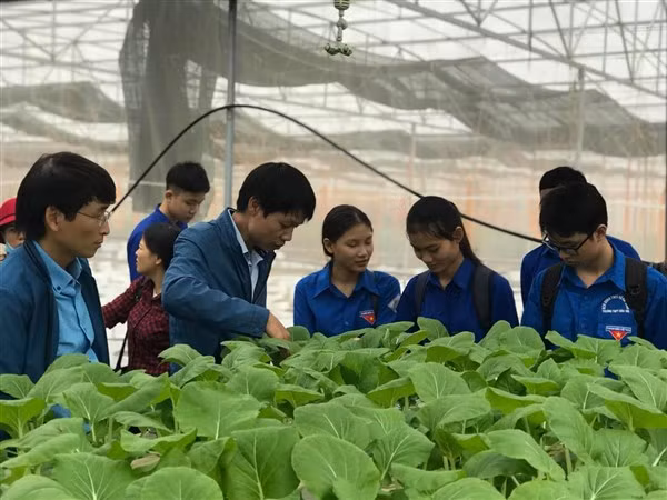 Đào tạo nghề tại chỗ tại một số vùng còn chưa đồng đều. Ảnh minh họa