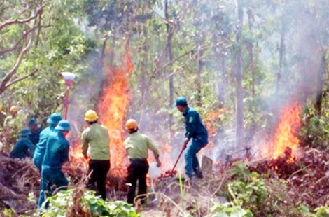 Các lực lượng được huy động tham gia dập lửa một vụ cháy rừng ở Quảng Nam.