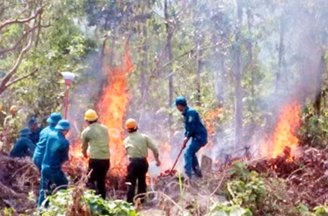 Nghiêm cấm đốt nương rẫy trong mùa khô
