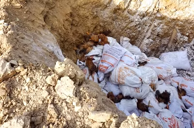 TIEU-HUY-1-6144-1450152113