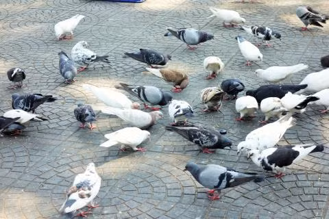 Ảnh minh họa/INT