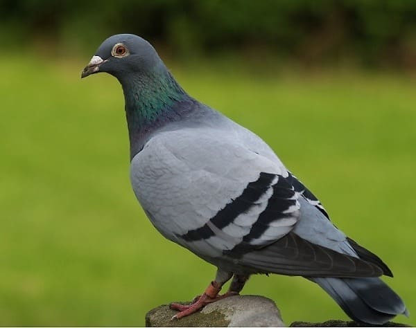 Ảnh minh họa/INT. Ảnh minh họa/INT.