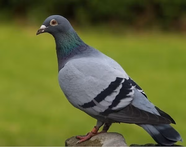 Ảnh minh họa/INT.