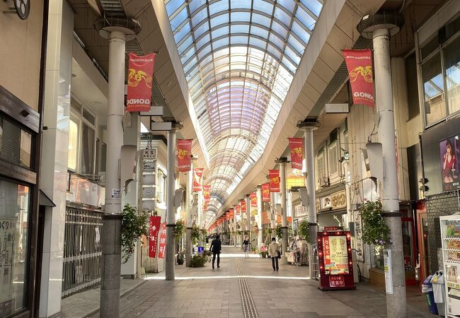 Đường Gondo (TP Nagano, Nhật Bản) cũng đang sử dụng mái che thay vì phủ xanh bằng cây trồng.