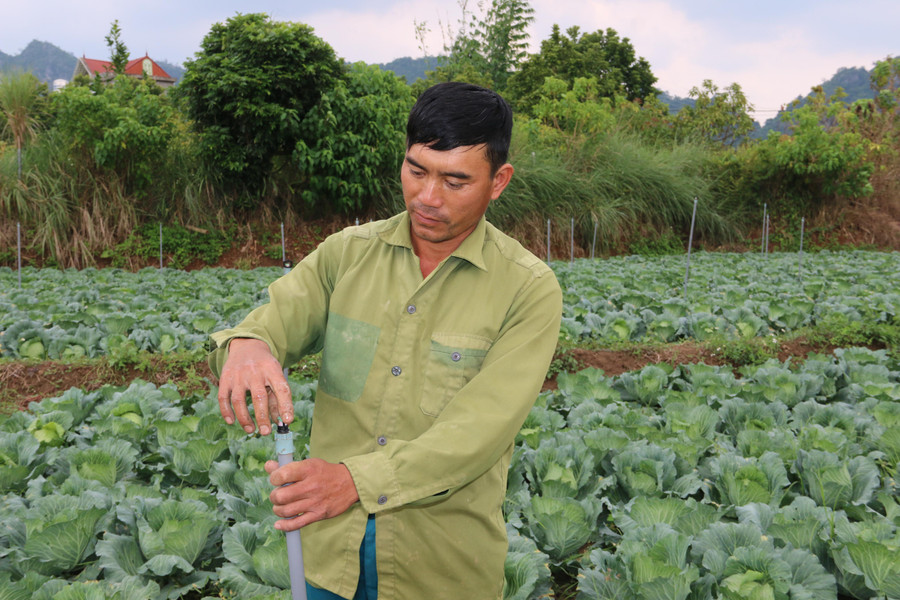 Ông Quân đang kiểm tra lại hệ thống nước tưới cho vườn rau. Ông Quân đang kiểm tra lại hệ thống nước tưới cho vườn rau.