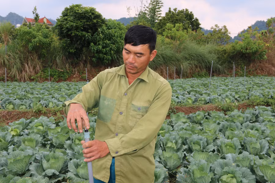 Ông Quân đang kiểm tra lại hệ thống nước tưới cho vườn rau.
