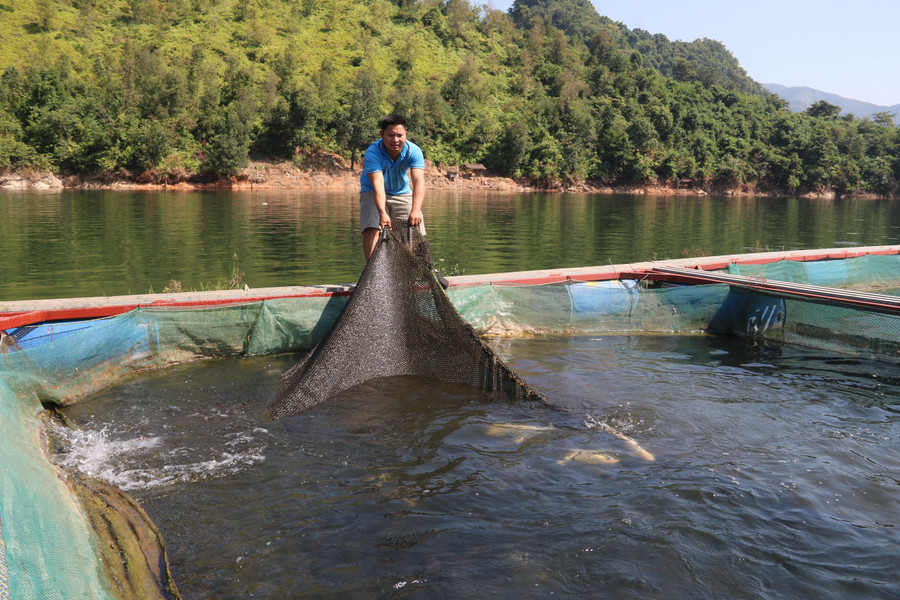 Người dân xã Mường Giôn phát triển kinh tế từ việc nuôi cá lồng. Người dân xã Mường Giôn phát triển kinh tế từ việc nuôi cá lồng.
