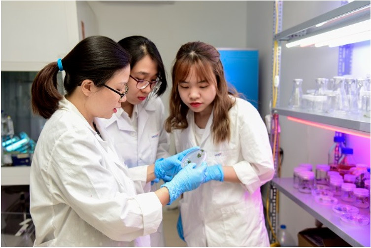 TS Tô Thị Mai Hương (bên trái) trao đổi với các cộng sự trong nhóm nghiên cứu Công nghệ Sinh học Thực vật. TS Tô Thị Mai Hương (bên trái) trao đổi với các cộng sự trong nhóm nghiên cứu Công nghệ Sinh học Thực vật.