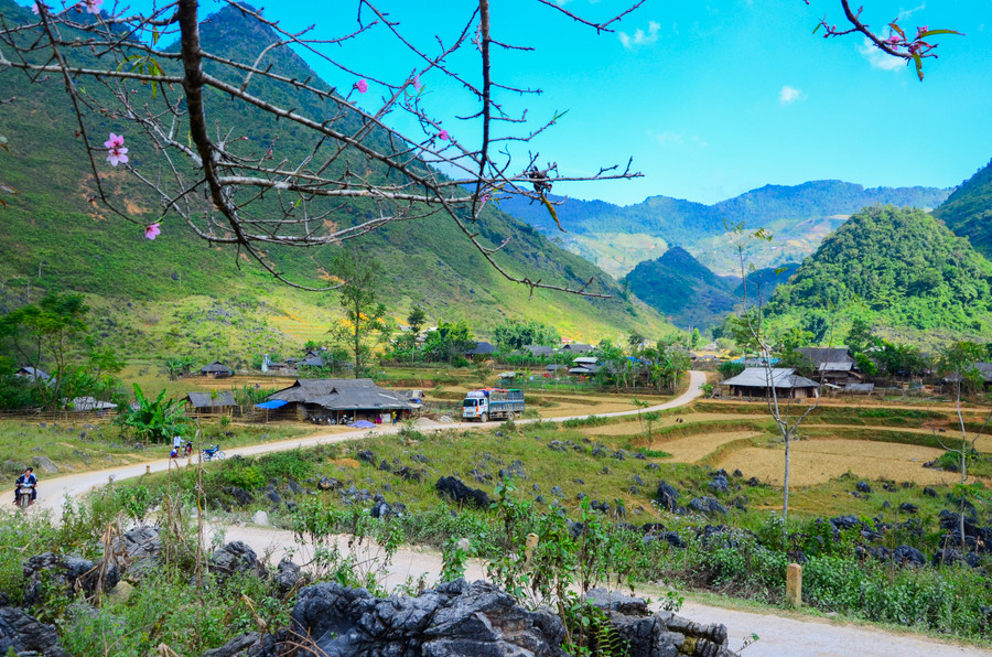 Những cung đường uốn lượn ở xã Tả Phìn (huyện Tủa Chùa) ẩn hiện sau vẻ đẹp của đào rừng. Những cung đường uốn lượn ở xã Tả Phìn (huyện Tủa Chùa) ẩn hiện sau vẻ đẹp của đào rừng.