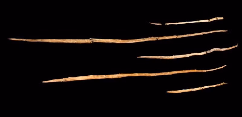 Mũi lao của người Neanderthal, cách đây 300 nghìn năm.