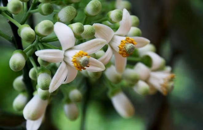 Ảnh minh họa/INT.