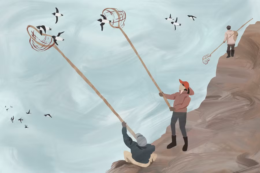 Cuối mùa Xuân, người Inuguhit tích cực vợt bắt chim Dovekie. Ảnh: Atlasobscura.com. Cuối mùa Xuân, người Inuguhit tích cực vợt bắt chim Dovekie. Ảnh: Atlasobscura.com.