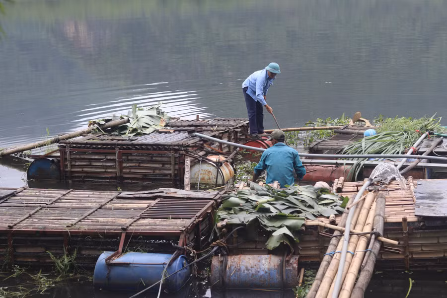 Người dân đang nỗ lực cứu những con cá còn sót lại.
