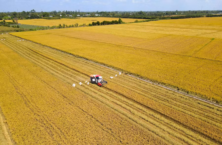 Nguồn nước được xem là vấn đề 'sống còn' của sản xuất nông nghiệp ĐBSCL.