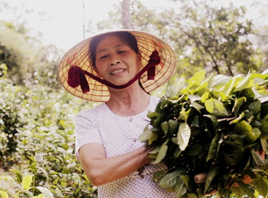 Mẹ Công Phượng mong con sáng suốt chuyện tình cảm