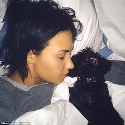 Giám khảo X-Factor bất ngờ bị tung ảnh 