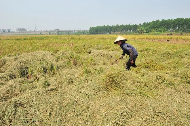 Khói rơm bao phủ nhiều khu dân cư ở Hà Nội