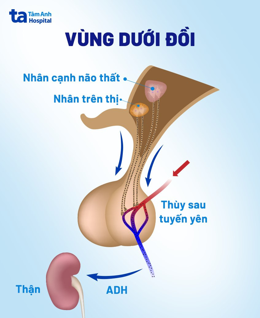 Ảnh minh họa: ITN Ảnh minh họa: ITN