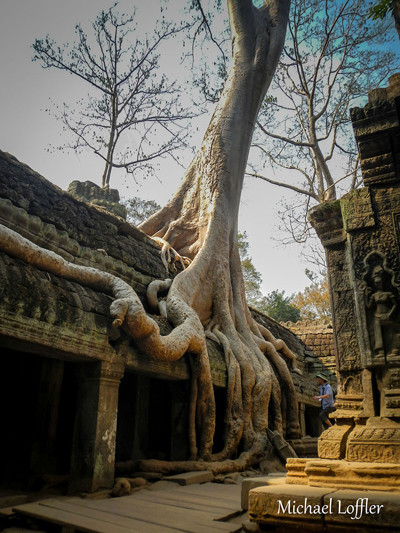 Chàng trai đi vòng quanh thế giới để chữa trầm cảm ảnh 7 Ta Prohm.