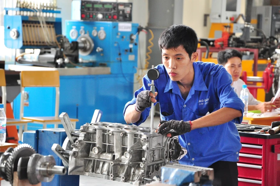 Việt Nam mong muốn tiếp tục chia sẻ kinh nghiệm quốc tế về GD nghề nghiệp