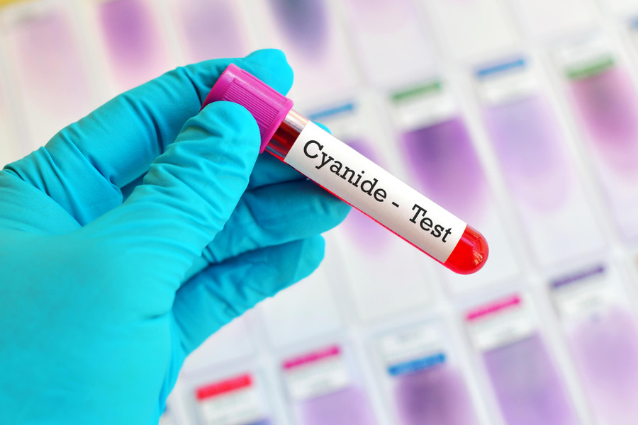 Kumar đầu độc các nạn nhân bằng chất độc xyanua. Kumar đầu độc các nạn nhân bằng chất độc xyanua.