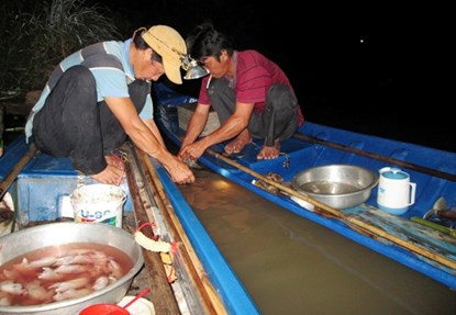 Bơi xuồng săn chuột đồng thu tiền triệu mỗi đêm ở miền Tây ảnh 17