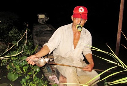 Bơi xuồng săn chuột đồng thu tiền triệu mỗi đêm ở miền Tây ảnh 5