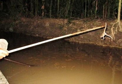 Bơi xuồng săn chuột đồng thu tiền triệu mỗi đêm ở miền Tây ảnh 10