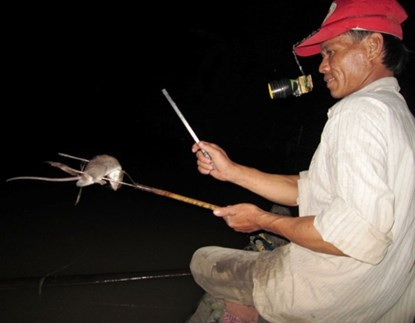 Bơi xuồng săn chuột đồng thu tiền triệu mỗi đêm ở miền Tây ảnh 8