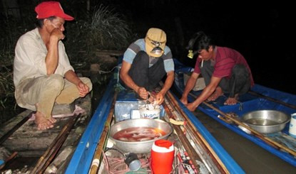 Bơi xuồng săn chuột đồng thu tiền triệu mỗi đêm ở miền Tây ảnh 19