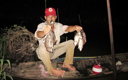 Bơi xuồng săn chuột đồng thu tiền triệu mỗi đêm ở miền Tây ảnh 15