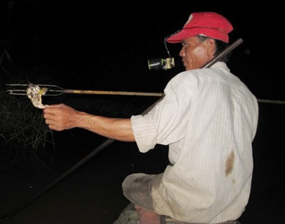 Bơi xuồng săn chuột đồng thu tiền triệu mỗi đêm ở miền Tây ảnh 2