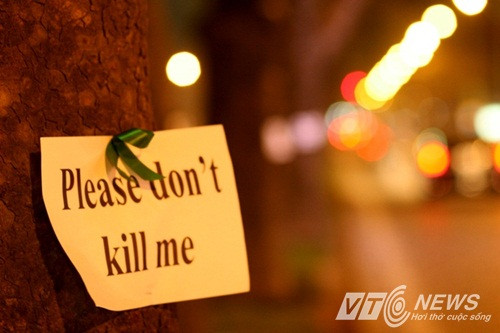 Người dân thủ đô mong muốn giữ lại hàng cây cổ thụ