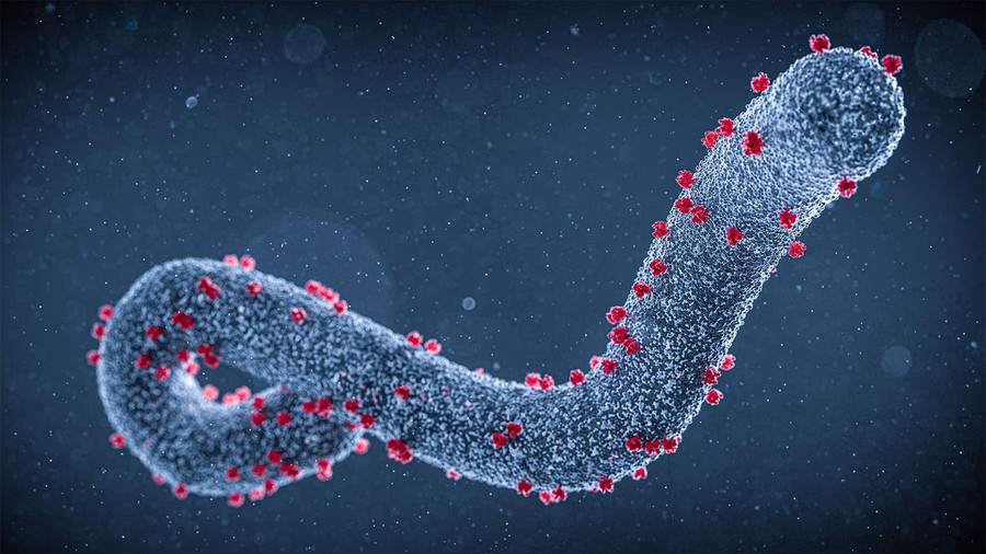 Cách phòng virus Marburg tốt nhất hiện tại là ngăn chặn sự lây truyền trực tiếp từ người sang người. Ảnh minh họa.