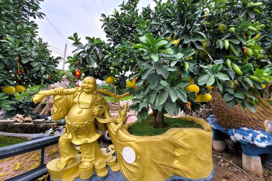 Những tác phẩm bưởi cảnh như &apos;Miêu tài đa lộc&apos;, &apos;Long phụng sum vầy&apos;… được hoàn thiện sẵn sàng phục vụ người dân đón Tết.