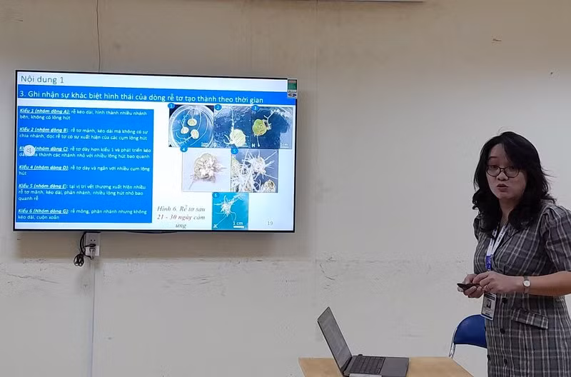 PGS.TS Quách Ngô Diễm Phương báo cáo kết quả triển khai nhiệm vụ khoa học - công nghệ.