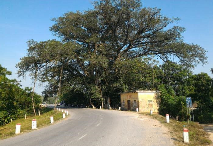 Đường vào Viên Nội - quê hương Tiến sĩ Nguyễn Danh Thế. Đường vào Viên Nội - quê hương Tiến sĩ Nguyễn Danh Thế.