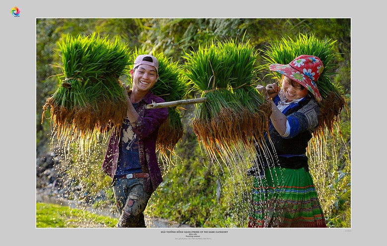 Tác phẩm 'Mùa cấy' của Võ Văn Hoàng. Ảnh: BTC. Tác phẩm 'Mùa cấy' của Võ Văn Hoàng. Ảnh: BTC.