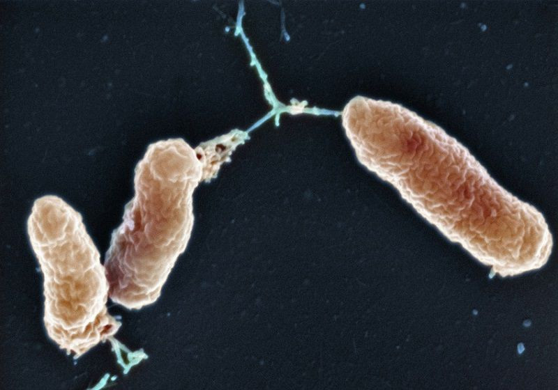 Ảnh minh họa: ITN