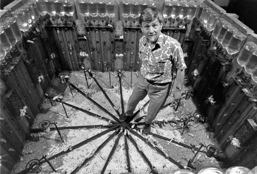 Nhà khoa học John B. Calhoun bên cạnh thí nghiệm &apos;Vũ trụ 25&apos;.