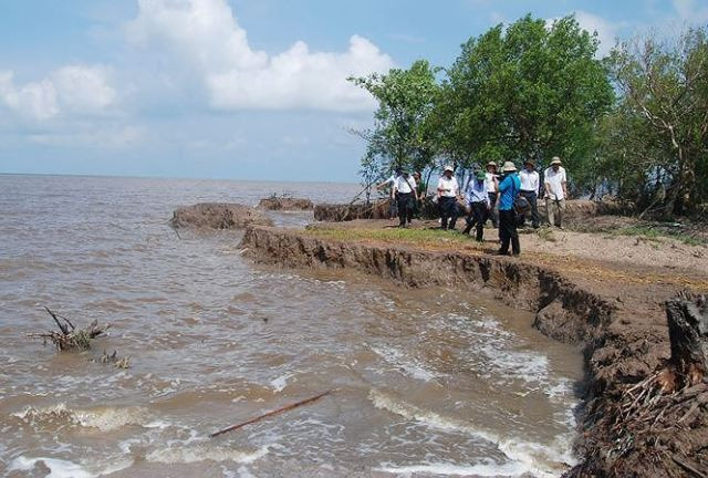 Kiểm tra công tác xâm nhập mặn sạt lở ở khu vực Đồng bằng sông Cửu Long (Internet)