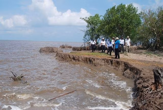 Kiểm tra công tác xâm nhập mặn sạt lở ở khu vực Đồng bằng sông Cửu Long (Internet) Kiểm tra công tác xâm nhập mặn sạt lở ở khu vực Đồng bằng sông Cửu Long (Internet)